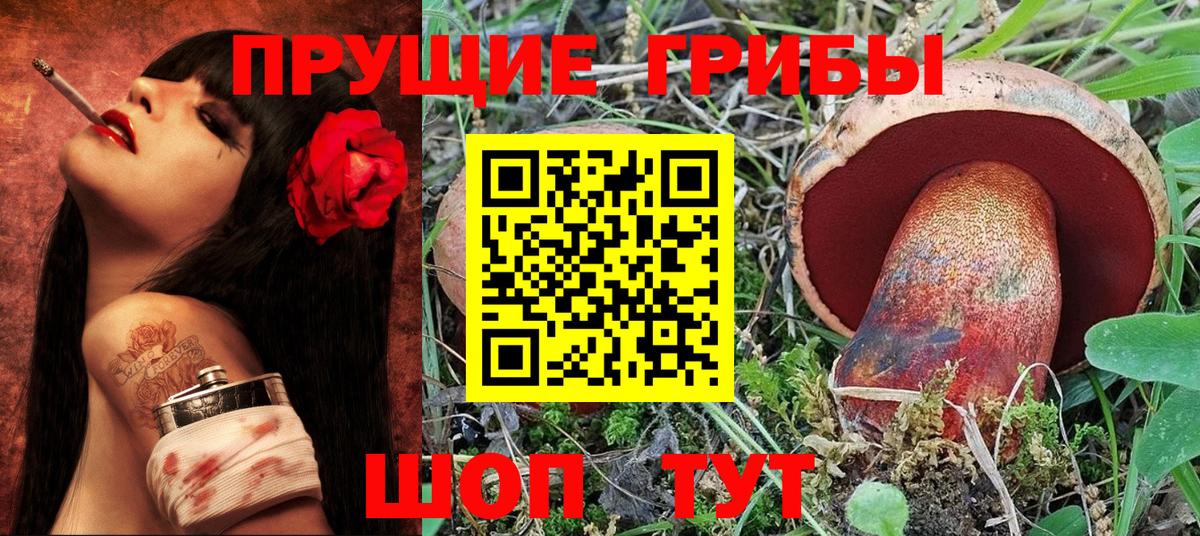 Псилоцибиновые грибы Psilocybe  Галлюциногенные грибы MAGIC MUSHROOMS  Дальнереченск  Вход с VPN 